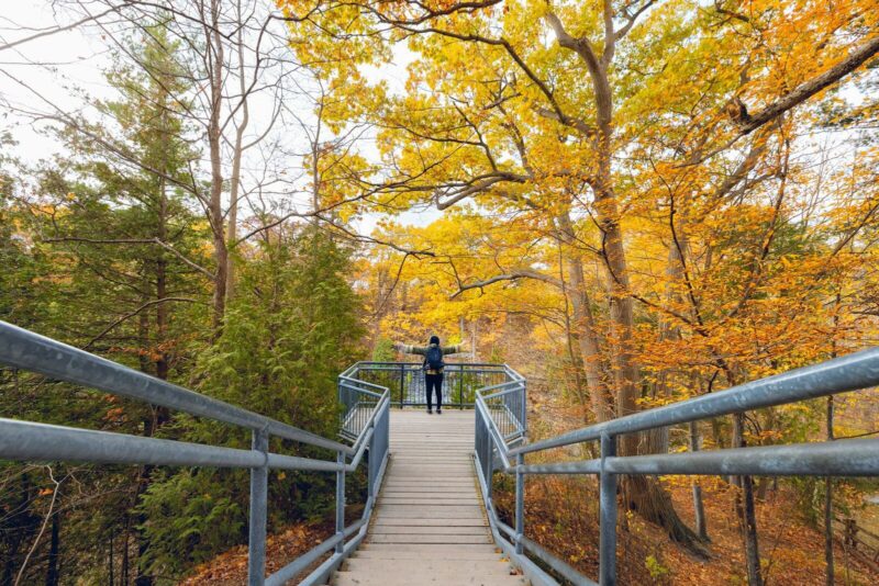 Wanderurlaub in Deutschland – diese Regionen lohnen sich im Herbst